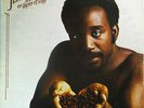 Jerry Butler - The Spice Of Life / VG / LP