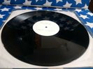 VERY RARE. POP WILL EAT ITSELF. WHITE LABEL 12