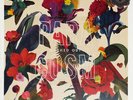 Washed Out ?- Paracosm LP Vinyl Album - SEALED SUB-POP Record + DL - Beach House
