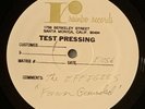 THE EFFIGIES For Ever Grounded LP rare 1984 hardcore punk TEST PRESS