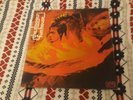 The Stooges, Funhouse, Very Good+ LP, Fully play tested