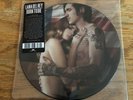 LANA DEL REY Born To Die 2011 PICTURE DISC 7
