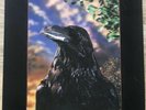 The Stranglers - The Raven. Original Release  Vinyl Record, 3D Holograph Cover