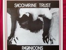 *Original* SACCHARINE TRUST Pagan Icons POSTER 1981 SST Punk