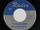 Garage 45 - Dave & the Squires - The Girl Of My Dreams - Radex - mp3