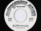 Psych 45 - It's A Beautiful Day - White Bird - San Francisco Sound - mp3