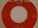 THE MIDDLE WINDOW-TREASURE LAND B/W LET MY HEART HEAL 45-67 GARM ORIGINAL-GARAGE