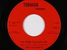 Garage 45 - Castaways - You Were Telling Lies/Ain't Gonna Cheat - Tornado NM mp3