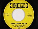 Rockabilly/Teen 45 - Hesitations - Wild Little Willie - D-Town - mp3
