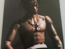 Travis Scott - Rodeo, LP Vinyl Record