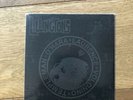 The Lillingtons ‘Project 313’ Limited Gray Vinyl Pop Punk Teenage Bottlerocket
