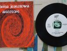 The Brian Jonestown Massacre 7