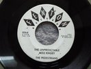 RARE MICHIGAN GARAGE ROCK-FENTON 2226-PEDESTRIANS-UNPREDICTABLE MISS KINSEY-45