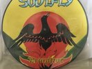 Soulfly - Primitive Vinyl. Like New- Unplayed. Picture Disc