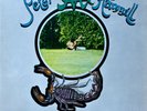 Prog Rock - Peter Hammill ?– Chameleon In The Shadow - NL 1st Pressing EX/EX+