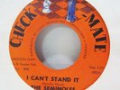 THE SEMINOLES I CAN'T STAND IT   IT TAKES A LOT DJ PROMO 45 DOO WOP SOUL R&B