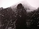 SNTS - The Rustling Of The Leaves - Vinyl (2xLP + sticker)