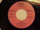 RARE & GREAT DOO WOP 2 SIDER (PINK LABEL DJ) THE GAY KNIGHTS ON PET# 801