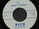 JOHNNY FLAMINGO & GROUP: I / Summertime 45 (faint pencil wol, great version )