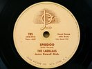 CADILLACS doo-wop 78 SPEEDOO b/w LET ME EXPLAIN  Josie  VG++ / Mint minus RJ 591