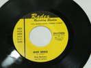 Don Bowers 45 Record Bad Seed Child of Friday Radex Freeport IL SDO-7305