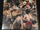 Panda Bear Person Pitch 2 colored LP on vinyl me please Mint Records