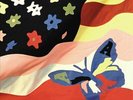 The Avalanches - Wildflower