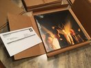 NEW The Dead Weather Sea Of Cowards Split Color Vinyl Third Man Records SEALED