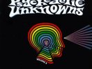 Psychedelic Unknowns - Volume 8 (LP)
