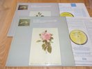 L'OISEAU-LYRE OLS 133 / 134 - BACH - SUITES FOR SOLO CELLO *JEAN-MAX CLEMENT* NM