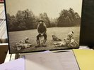 George Harrison - All Things Must Pass