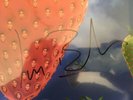 The Lightning Seeds Jollification Limited Edition Reissue Signed LP
