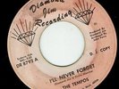 NORTHERN SOUL Tempos - I’ll Never Forget LISTEN