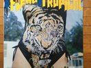 Los Tigres - Fuego Tropical Latin Cumbia Psych Peru Chicha Not on Discogs  VG+
