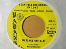 funk soul 45 MESSAGE UNTOLD I Can Feel the Change in Love PADANG listen