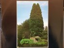John Foxx - The Garden - 1981 limited edition LP record excellent + booklet