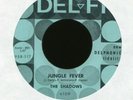 THE SHADOWS Jungle Fever on Del-Fi R&B Exotica 45 Hear