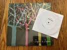 Tapes N Tapes - The Loon 12” Vinyl W/ Bonus Hang Them All 7” Indie Britt