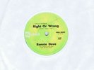 Ronnie Dove - Right Or Wrong & One More Mountain To Climb - 2 New Zealand 45s
