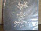 Black moth super rainbow - The Autumn Kaleidoscope Got Changed LP - Signed - NM
