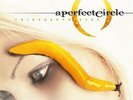 A PERFECT CIRCLE - THIRTEENTH STEP *NEW 180 gram DOUBLE LP VINYL