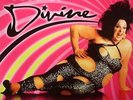DIVINE - Best Of Divine Shoot Your Shot - Vinyl (LP)