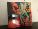 Sons Of Abraham Termites In His Smile LP Hardcore Rock Green Vinyl 1997