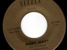 BFTG Garage Punk Killer 45   Rare Record   The Shandells  Mary Mary & Caroline
