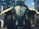 Swervedriver-Mezcal Head (1LP) (UK IMPORT) VINYL NEW
