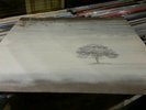 GENESIS WIND AND WUTHERING CHARISMA LP EXCELLENT CONDITION PROG ROCK