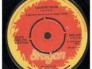 TOOTS AND THE MAYTALS Country Road 7