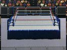 WWF LP vinyl Royal Rumble, Raw, Super Wrestlemania Sega soundtrack Moonshake