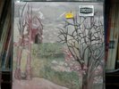 Margot & The Nuclear So And So's Not Animal 2018 Epic/SRC Color Remaster SRC108