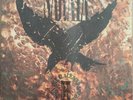 Saraya - When the blackbird sings - Vinyl LP album 1991 Inc Inner Sleeve Ex+ Con